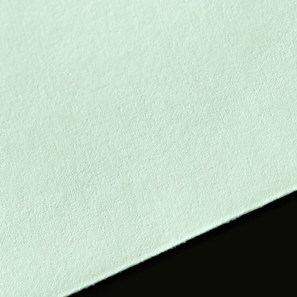 �m��3 �J�}�X�\ �~�G�i�C�O���[��CoC  100 ���g�i�V �� �̕������