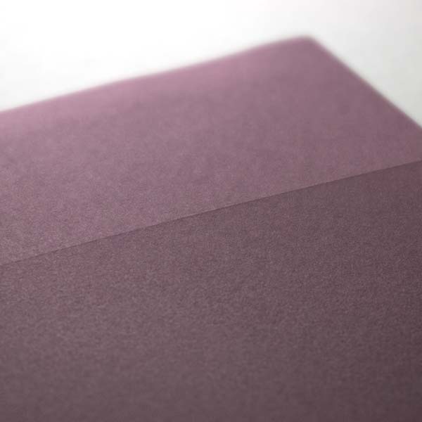 Web����m2 NT׼� �Ԃǂ�