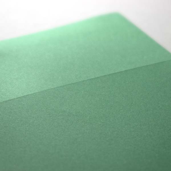 Web����m2 NT׼� ��