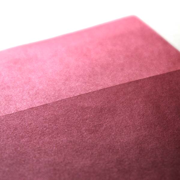 Web����m2 �����ذ�-FS ��ް