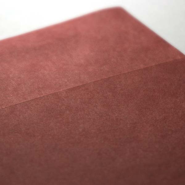 Web����m2 �޵İ��GA-FS ��ذگ��