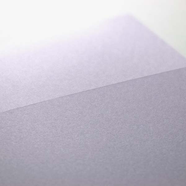 Web����m2 NT׼� ��������