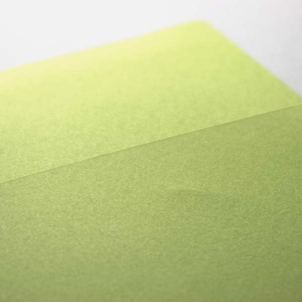 Web����m2 NT׼� ����