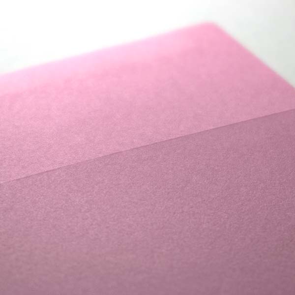 Web����m2 NT׼� �����΂�