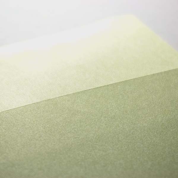 Web����m2 ���� ��������