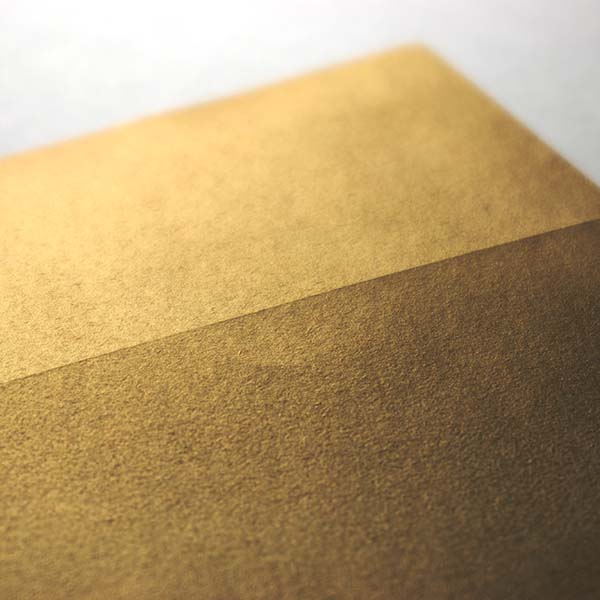 Web����m2 �����ذ�-FS ��è���ް���