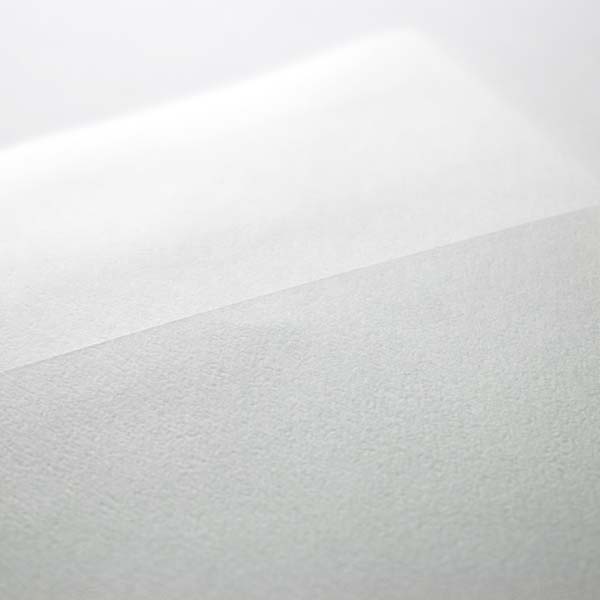 Web����m2 ��� N-8