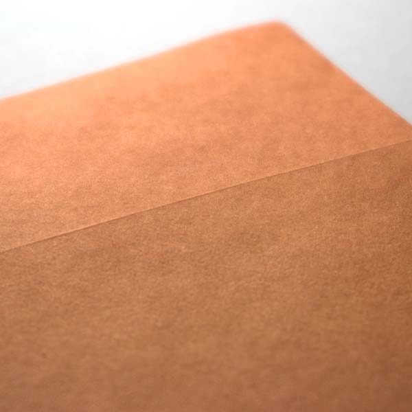 Web����m2 �޵İ��GA-FS ���غ��