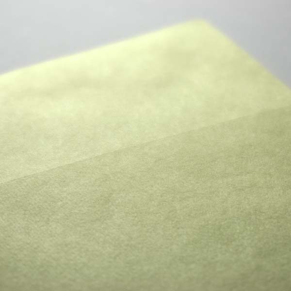 Web����m2 ��� ����