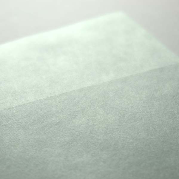 Web����m2 ��� ����