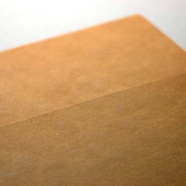 Web����m2 ������ �޽��