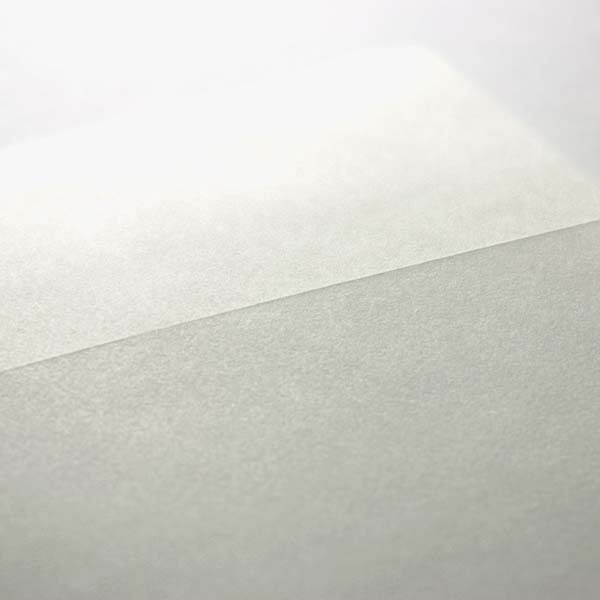 Web����DL NT׼� �ɰ�ܲ�