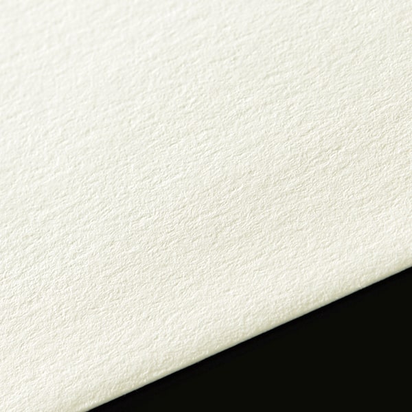 ���� ��3 �X�~�\ AR�z���C�gCoC 130 ���g�i�V ��