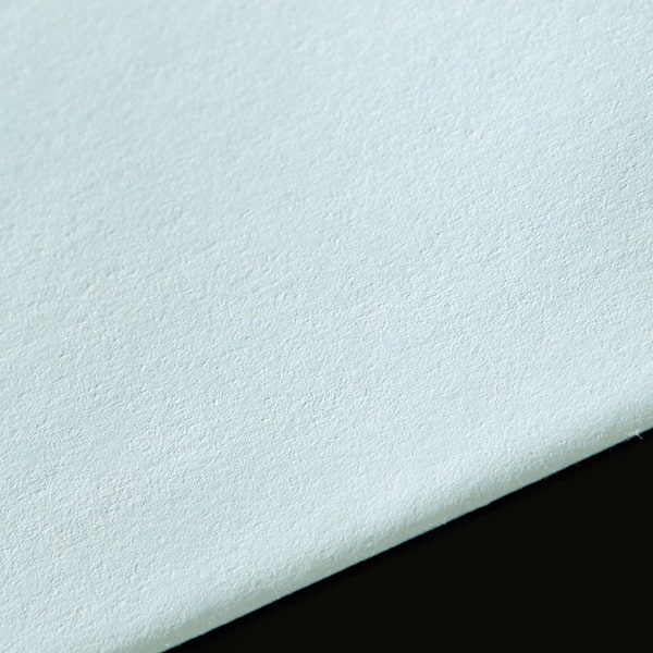 ���� �p2 �X�~�\ �~�G�i�C�u���[CoC 100 �X���b�g ���g�i�V ��