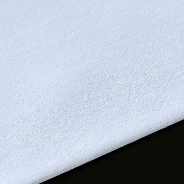 ���� �p2 �X�~�\ �~�G�i�C�A�N�ACoC 100 �X���b�g ���g�i�V ��