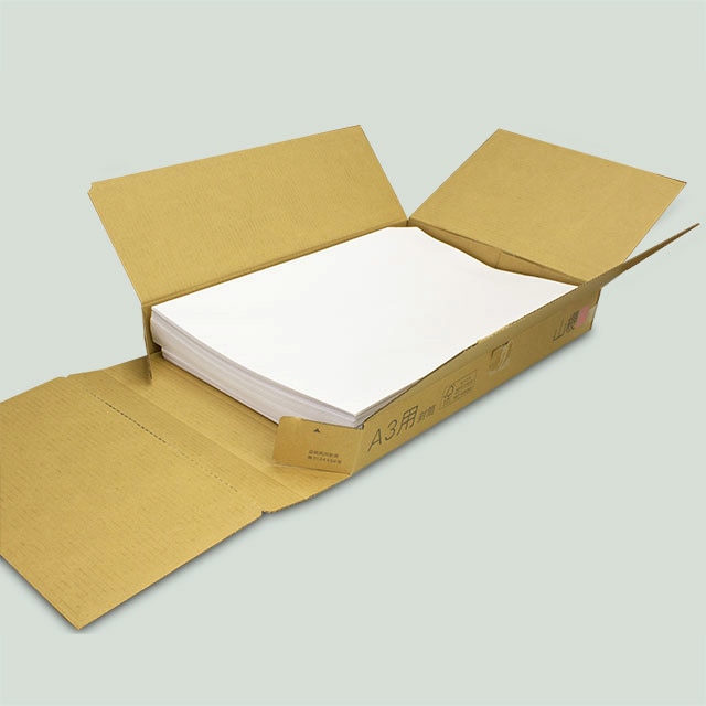 ���� A3�p �X�~�\ BS�P���gCoC 120 ���g�i�V ��