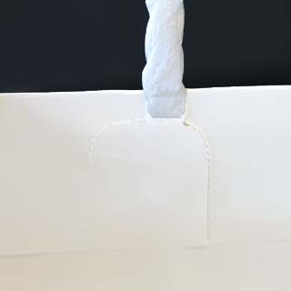 �V���b�s���O�o�b�O SBW(��)