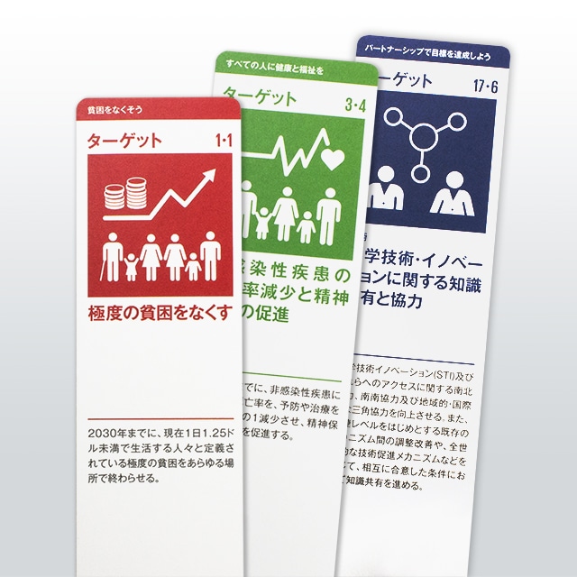 SDG�� �^�[�Q�b�g�E�t�@�C���_�[�iR�j�@���{���