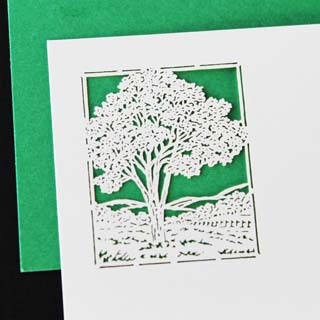 ���h 4�� [50����] �؂�G A9 ���