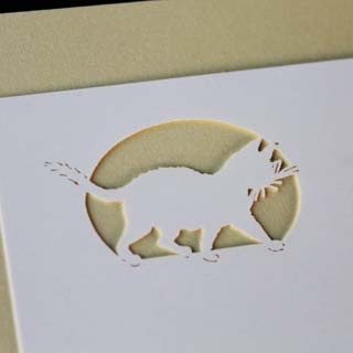 ���h 4�� [50����] �؂�G D5 �l�R