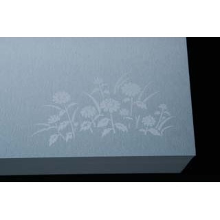 OU �����͂��� ��7172 ��Ӌe ���O���C�g��