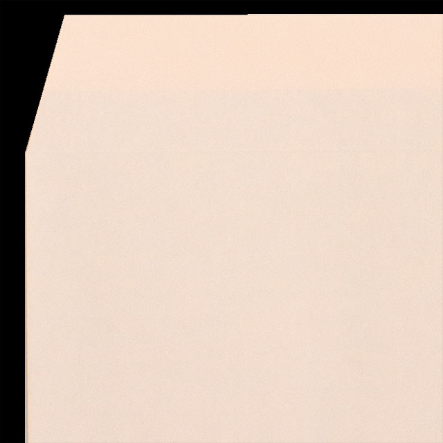 ���� �m��3 �J�}�X�\ ���~�j�N�CEC�s���NCoC 100 ���g�i�V ��