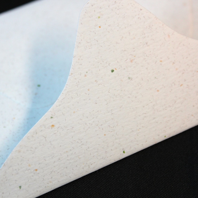 minifu(�~�j�t�E) �n�[�u �I�j�I��