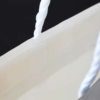 �V���b�s���O�o�b�O SBW(��)