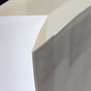 �V���b�s���O�o�b�O SBW(��)