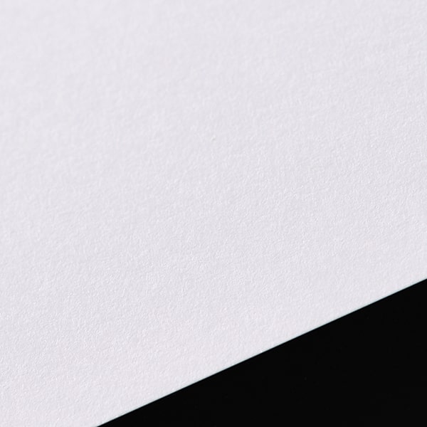 ���h 20�ʕt [100����] ������z���C�gCoC 025 ��