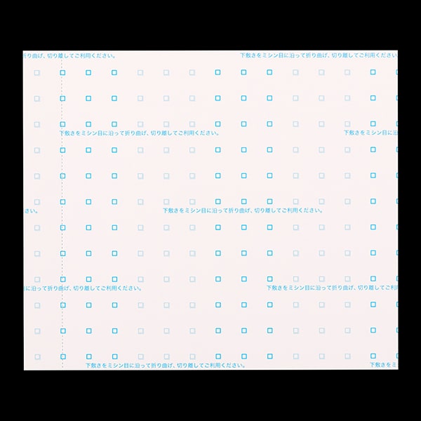 複写式領収証 小切手サイズ 2面付 文字入 緑 RC-214-CoC ☆