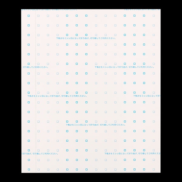 複写式領収証 大判サイズ 2面付 文字入 消費税記入欄 緑 RC-2264-CoC