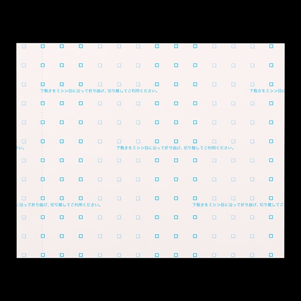 複写式領収証 小切手サイズ 2面付 文字入 緑 RC-2044-CoC ☆