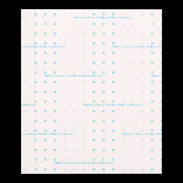 複写式領収証 大判サイズ 2面付ドブ付 文字入 青 RC-2244-CoC