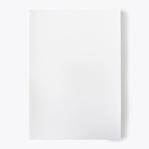 P4P ���h 10�ʕt [100����] YLP112-100 �z���C�g ����