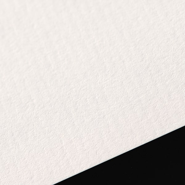 レターセット レゾン LS-Y3(ダンデレードCoC) ☆