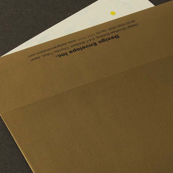 Web����m2 �����ذ�-FS ��è���ް���