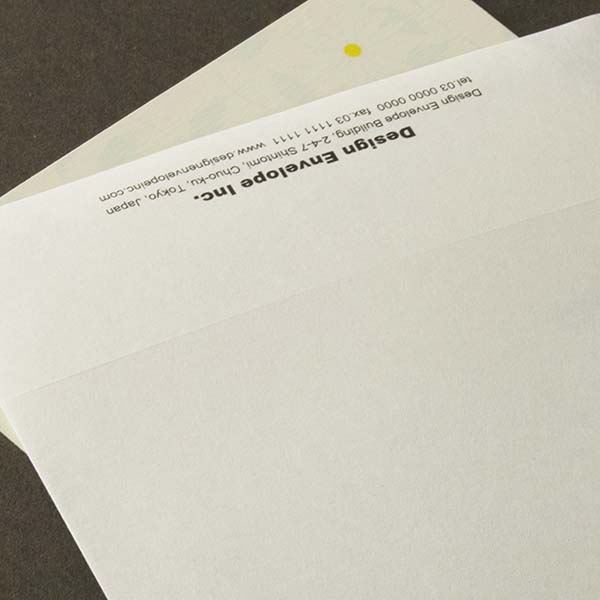 Web����m2 �V���̎q ��