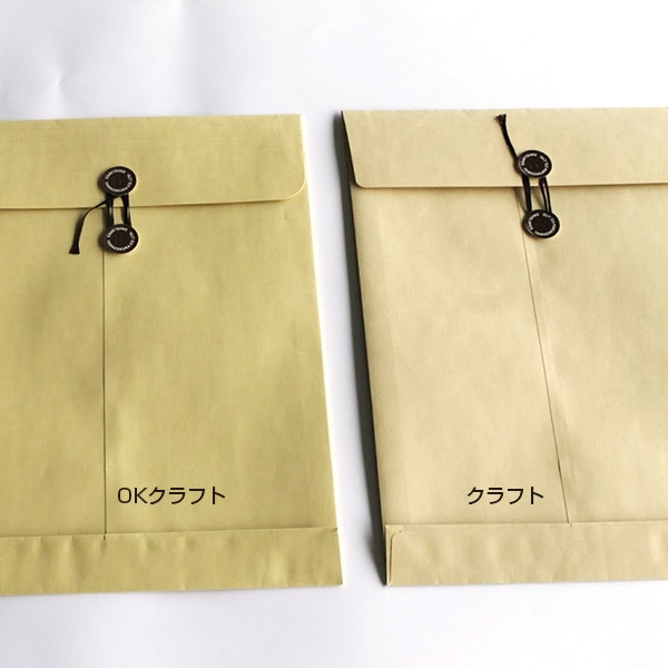 封筒 角2 保存袋 OKクラフト 120 〒枠ナシ