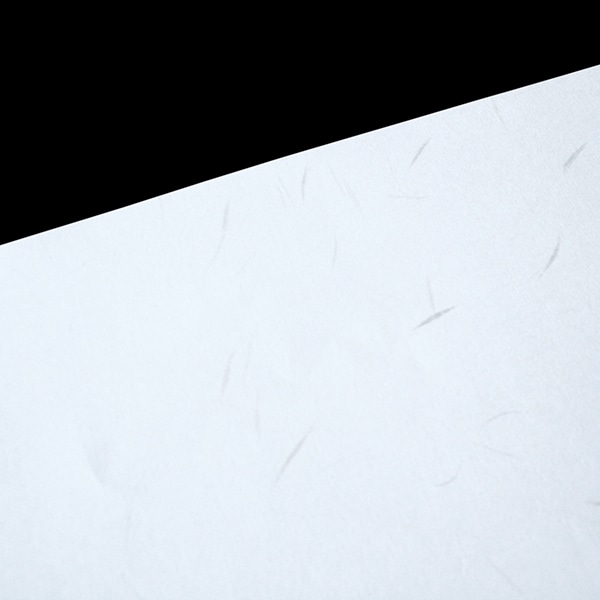 JET A4 大礼紙CoC 白 ☆