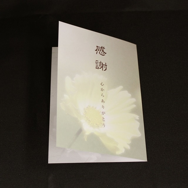 ���� 205×147mm ��܃J�[�h ��6251 �Ԉ��/�؍���CoC ��