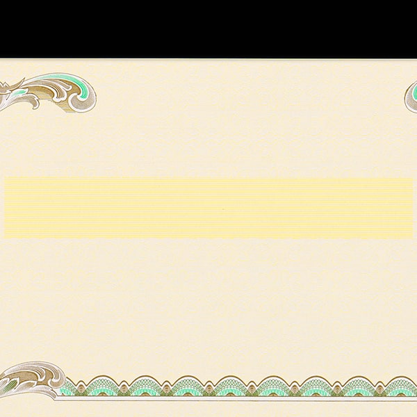 単式領収証 小切手サイズ 2面付 文字なし 黄 R-2050-CoC ☆