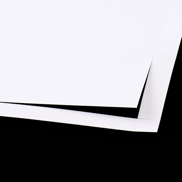 ���h 10�ʕt �}�C�N���~�V�� [110����] JET�N�[��MW �C���N�W�F�b�g