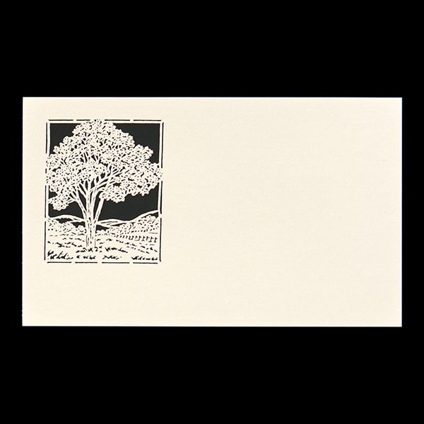 ���h 4�� [50����] �؂�G A9 ���