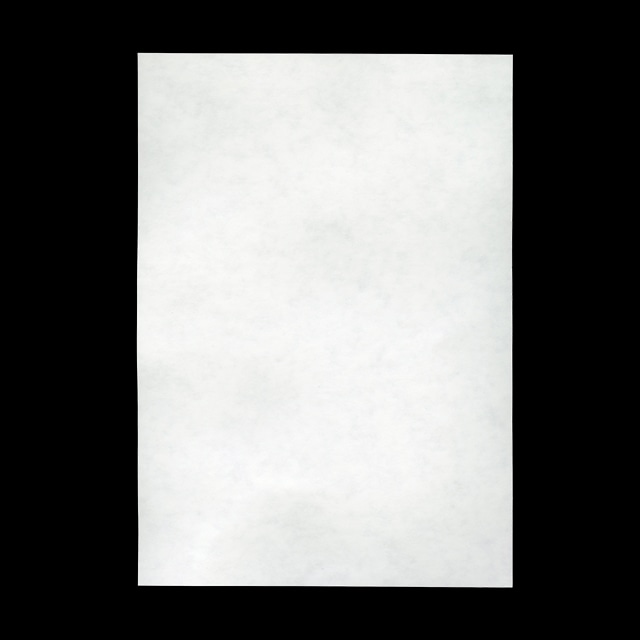 ���h 10�ʕt [110����] �|�z���C�g100