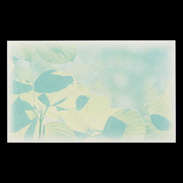 ���h 4�� [50����] �t�H�g TR-1 �V��