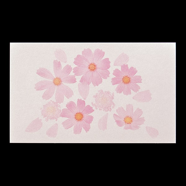 ���h 4�� [50����] �t�H�g FL-2 �R�X���X