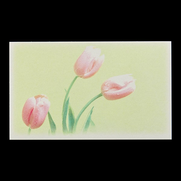 ���h 4�� [50����] �t�H�g FL-4 �`���[���b�v