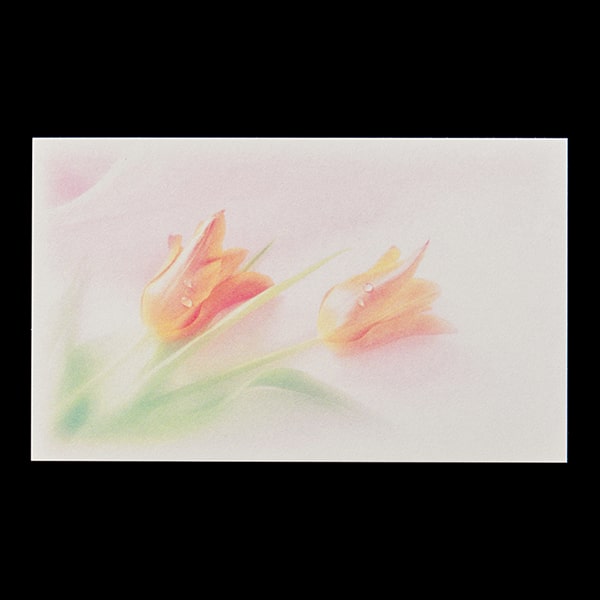 ���h 4�� [50����] �t�H�g FL-5 �`���[���b�v