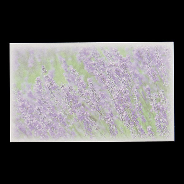 ���h 4�� [50����] �t�H�g FL-7 ���x���_�[